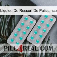 Power Spring Liquid 29